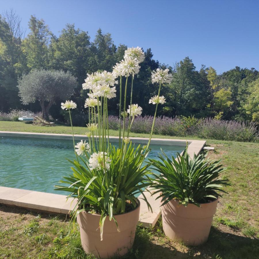 Chambre Double En Pleine Nature "La Clairiere De L'Ange" Peyrins 외부 사진